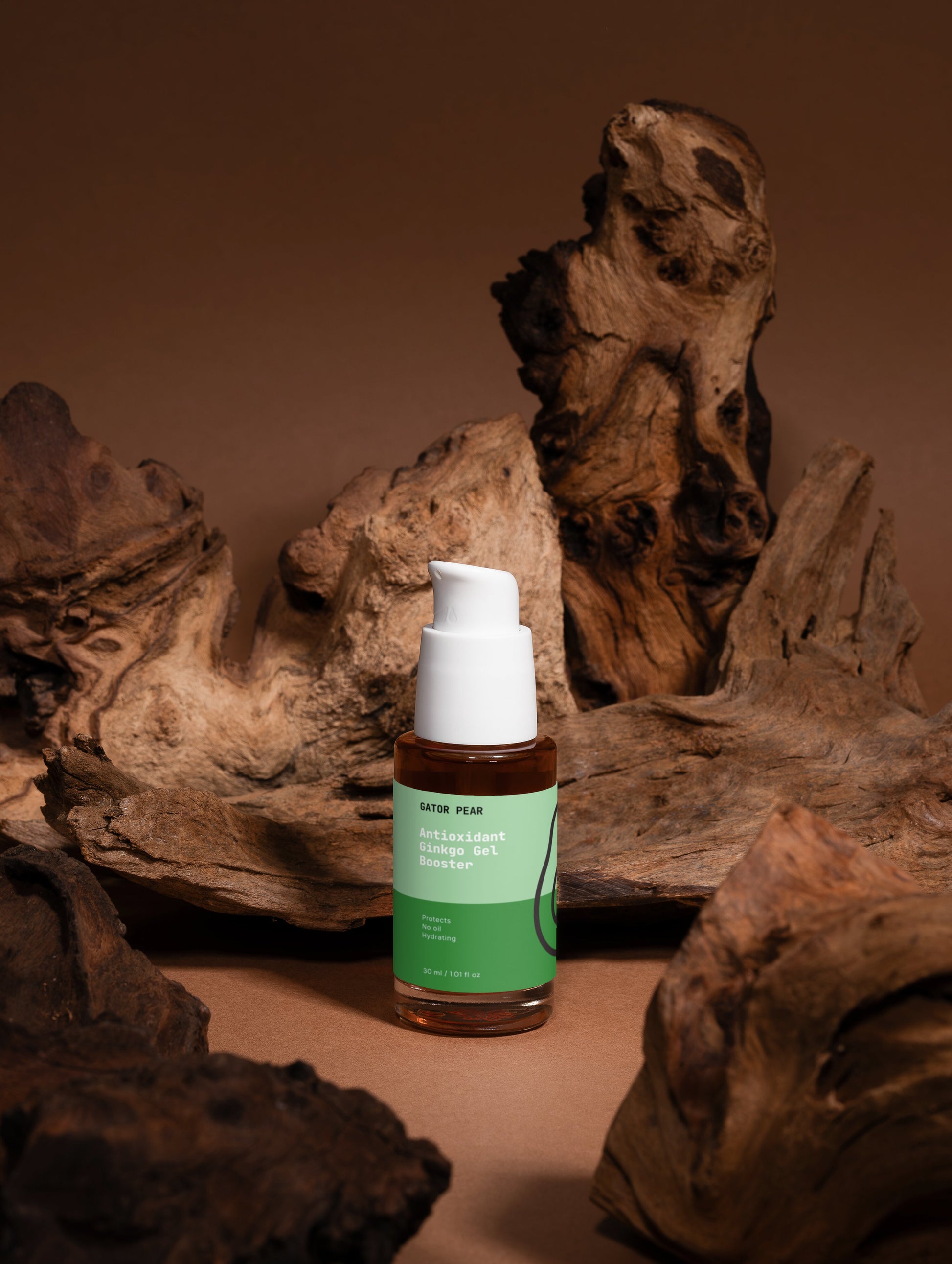 Antioxidant Ginkgo Gel Booster